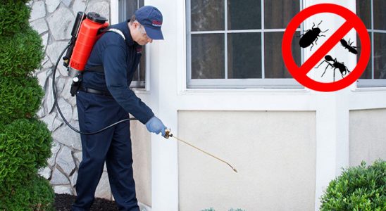 Karapınar Böcek İlaçlama böcek ilaçlama ve haşere kontrolü — ilaclama-tr.com
